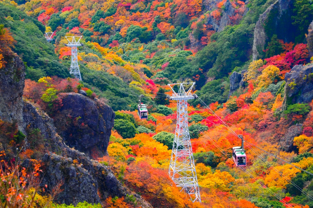 【岡山県内発】 紅葉の石鎚山ロープウェイdeパノラマ空中散歩　日帰り