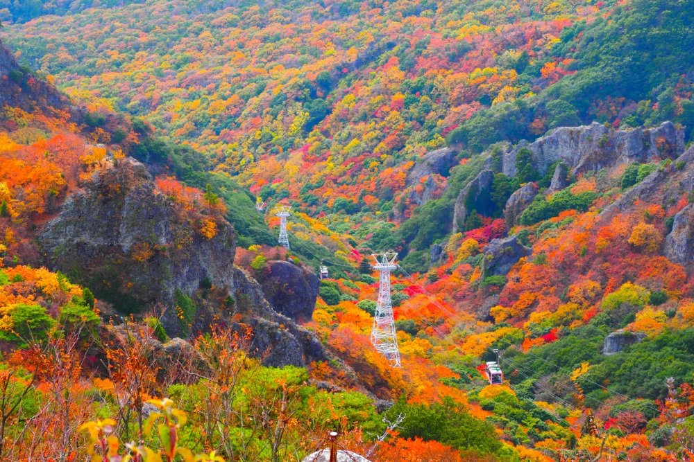 【岡山県内発】 紅葉の石鎚山ロープウェイdeパノラマ空中散歩　日帰り